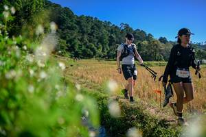 BIB: 
                            <button type="button" onclick="openModal(26579648)" class="btn btn-primary btn-sm float-right btn-popup" data-toggle="modal" data-target=".modal-high-quality">
                        <i class="fas fa-shopping-cart"></i> Add to Cart
                    </button>
                                            <button type="button" onclick="isThisMe(26579648, true)" class="btn btn-success btn-sm float-right btn-popup btn-isme hidden" data-toggle="tooltip" data-placement="bottom" title="นี่คือรูปของคุณใช่ไหม คลิกที่นี่เพื่อเอาเข้าอัลบั้ม">
                        <i class="fas fa-plus"></i> Add to album
                    </button>
                    <button type="button" onclick="isThisMe(26579648, false)" class="btn btn-warning btn-sm float-right btn-popup btn-isnotme hidden">
                        <i class="fas fa-ban"></i> Remove from album
                    </button>