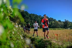 BIB: 
                            <button type="button" onclick="openModal(26579774)" class="btn btn-primary btn-sm float-right btn-popup" data-toggle="modal" data-target=".modal-high-quality">
                        <i class="fas fa-shopping-cart"></i> Add to Cart
                    </button>
                                            <button type="button" onclick="isThisMe(26579774, true)" class="btn btn-success btn-sm float-right btn-popup btn-isme hidden" data-toggle="tooltip" data-placement="bottom" title="นี่คือรูปของคุณใช่ไหม คลิกที่นี่เพื่อเอาเข้าอัลบั้ม">
                        <i class="fas fa-plus"></i> Add to album
                    </button>
                    <button type="button" onclick="isThisMe(26579774, false)" class="btn btn-warning btn-sm float-right btn-popup btn-isnotme hidden">
                        <i class="fas fa-ban"></i> Remove from album
                    </button>