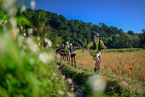 BIB: 
                            <button type="button" onclick="openModal(26574010)" class="btn btn-primary btn-sm float-right btn-popup" data-toggle="modal" data-target=".modal-high-quality">
                        <i class="fas fa-shopping-cart"></i> Add to Cart
                    </button>
                                            <button type="button" onclick="isThisMe(26574010, true)" class="btn btn-success btn-sm float-right btn-popup btn-isme hidden" data-toggle="tooltip" data-placement="bottom" title="นี่คือรูปของคุณใช่ไหม คลิกที่นี่เพื่อเอาเข้าอัลบั้ม">
                        <i class="fas fa-plus"></i> Add to album
                    </button>
                    <button type="button" onclick="isThisMe(26574010, false)" class="btn btn-warning btn-sm float-right btn-popup btn-isnotme hidden">
                        <i class="fas fa-ban"></i> Remove from album
                    </button>