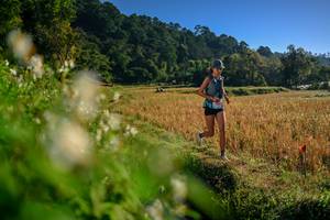 BIB: 
                            <button type="button" onclick="openModal(26570406)" class="btn btn-primary btn-sm float-right btn-popup" data-toggle="modal" data-target=".modal-high-quality">
                        <i class="fas fa-shopping-cart"></i> Add to Cart
                    </button>
                                            <button type="button" onclick="isThisMe(26570406, true)" class="btn btn-success btn-sm float-right btn-popup btn-isme hidden" data-toggle="tooltip" data-placement="bottom" title="นี่คือรูปของคุณใช่ไหม คลิกที่นี่เพื่อเอาเข้าอัลบั้ม">
                        <i class="fas fa-plus"></i> Add to album
                    </button>
                    <button type="button" onclick="isThisMe(26570406, false)" class="btn btn-warning btn-sm float-right btn-popup btn-isnotme hidden">
                        <i class="fas fa-ban"></i> Remove from album
                    </button>