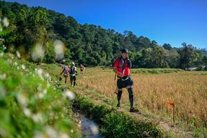 BIB: 
                            <button type="button" onclick="openModal(26579548)" class="btn btn-primary btn-sm float-right btn-popup" data-toggle="modal" data-target=".modal-high-quality">
                        <i class="fas fa-shopping-cart"></i> Add to Cart
                    </button>
                                            <button type="button" onclick="isThisMe(26579548, true)" class="btn btn-success btn-sm float-right btn-popup btn-isme hidden" data-toggle="tooltip" data-placement="bottom" title="นี่คือรูปของคุณใช่ไหม คลิกที่นี่เพื่อเอาเข้าอัลบั้ม">
                        <i class="fas fa-plus"></i> Add to album
                    </button>
                    <button type="button" onclick="isThisMe(26579548, false)" class="btn btn-warning btn-sm float-right btn-popup btn-isnotme hidden">
                        <i class="fas fa-ban"></i> Remove from album
                    </button>