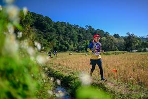 BIB: 
                            <button type="button" onclick="openModal(26574743)" class="btn btn-primary btn-sm float-right btn-popup" data-toggle="modal" data-target=".modal-high-quality">
                        <i class="fas fa-shopping-cart"></i> Add to Cart
                    </button>
                                            <button type="button" onclick="isThisMe(26574743, true)" class="btn btn-success btn-sm float-right btn-popup btn-isme hidden" data-toggle="tooltip" data-placement="bottom" title="นี่คือรูปของคุณใช่ไหม คลิกที่นี่เพื่อเอาเข้าอัลบั้ม">
                        <i class="fas fa-plus"></i> Add to album
                    </button>
                    <button type="button" onclick="isThisMe(26574743, false)" class="btn btn-warning btn-sm float-right btn-popup btn-isnotme hidden">
                        <i class="fas fa-ban"></i> Remove from album
                    </button>