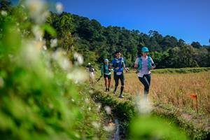 BIB: 
                            <button type="button" onclick="openModal(26574828)" class="btn btn-primary btn-sm float-right btn-popup" data-toggle="modal" data-target=".modal-high-quality">
                        <i class="fas fa-shopping-cart"></i> Add to Cart
                    </button>
                                            <button type="button" onclick="isThisMe(26574828, true)" class="btn btn-success btn-sm float-right btn-popup btn-isme hidden" data-toggle="tooltip" data-placement="bottom" title="นี่คือรูปของคุณใช่ไหม คลิกที่นี่เพื่อเอาเข้าอัลบั้ม">
                        <i class="fas fa-plus"></i> Add to album
                    </button>
                    <button type="button" onclick="isThisMe(26574828, false)" class="btn btn-warning btn-sm float-right btn-popup btn-isnotme hidden">
                        <i class="fas fa-ban"></i> Remove from album
                    </button>