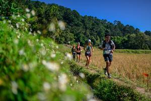 BIB: 
                            <button type="button" onclick="openModal(26583079)" class="btn btn-primary btn-sm float-right btn-popup" data-toggle="modal" data-target=".modal-high-quality">
                        <i class="fas fa-shopping-cart"></i> Add to Cart
                    </button>
                                            <button type="button" onclick="isThisMe(26583079, true)" class="btn btn-success btn-sm float-right btn-popup btn-isme hidden" data-toggle="tooltip" data-placement="bottom" title="นี่คือรูปของคุณใช่ไหม คลิกที่นี่เพื่อเอาเข้าอัลบั้ม">
                        <i class="fas fa-plus"></i> Add to album
                    </button>
                    <button type="button" onclick="isThisMe(26583079, false)" class="btn btn-warning btn-sm float-right btn-popup btn-isnotme hidden">
                        <i class="fas fa-ban"></i> Remove from album
                    </button>