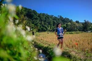 BIB: 
                            <button type="button" onclick="openModal(26574434)" class="btn btn-primary btn-sm float-right btn-popup" data-toggle="modal" data-target=".modal-high-quality">
                        <i class="fas fa-shopping-cart"></i> Add to Cart
                    </button>
                                            <button type="button" onclick="isThisMe(26574434, true)" class="btn btn-success btn-sm float-right btn-popup btn-isme hidden" data-toggle="tooltip" data-placement="bottom" title="นี่คือรูปของคุณใช่ไหม คลิกที่นี่เพื่อเอาเข้าอัลบั้ม">
                        <i class="fas fa-plus"></i> Add to album
                    </button>
                    <button type="button" onclick="isThisMe(26574434, false)" class="btn btn-warning btn-sm float-right btn-popup btn-isnotme hidden">
                        <i class="fas fa-ban"></i> Remove from album
                    </button>