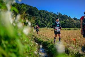 BIB: 
                            <button type="button" onclick="openModal(26572553)" class="btn btn-primary btn-sm float-right btn-popup" data-toggle="modal" data-target=".modal-high-quality">
                        <i class="fas fa-shopping-cart"></i> Add to Cart
                    </button>
                                            <button type="button" onclick="isThisMe(26572553, true)" class="btn btn-success btn-sm float-right btn-popup btn-isme hidden" data-toggle="tooltip" data-placement="bottom" title="นี่คือรูปของคุณใช่ไหม คลิกที่นี่เพื่อเอาเข้าอัลบั้ม">
                        <i class="fas fa-plus"></i> Add to album
                    </button>
                    <button type="button" onclick="isThisMe(26572553, false)" class="btn btn-warning btn-sm float-right btn-popup btn-isnotme hidden">
                        <i class="fas fa-ban"></i> Remove from album
                    </button>