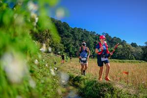 BIB: 
                            <button type="button" onclick="openModal(26581067)" class="btn btn-primary btn-sm float-right btn-popup" data-toggle="modal" data-target=".modal-high-quality">
                        <i class="fas fa-shopping-cart"></i> Add to Cart
                    </button>
                                            <button type="button" onclick="isThisMe(26581067, true)" class="btn btn-success btn-sm float-right btn-popup btn-isme hidden" data-toggle="tooltip" data-placement="bottom" title="นี่คือรูปของคุณใช่ไหม คลิกที่นี่เพื่อเอาเข้าอัลบั้ม">
                        <i class="fas fa-plus"></i> Add to album
                    </button>
                    <button type="button" onclick="isThisMe(26581067, false)" class="btn btn-warning btn-sm float-right btn-popup btn-isnotme hidden">
                        <i class="fas fa-ban"></i> Remove from album
                    </button>