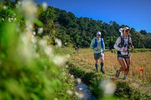 BIB: 
                            <button type="button" onclick="openModal(26575285)" class="btn btn-primary btn-sm float-right btn-popup" data-toggle="modal" data-target=".modal-high-quality">
                        <i class="fas fa-shopping-cart"></i> Add to Cart
                    </button>
                                            <button type="button" onclick="isThisMe(26575285, true)" class="btn btn-success btn-sm float-right btn-popup btn-isme hidden" data-toggle="tooltip" data-placement="bottom" title="นี่คือรูปของคุณใช่ไหม คลิกที่นี่เพื่อเอาเข้าอัลบั้ม">
                        <i class="fas fa-plus"></i> Add to album
                    </button>
                    <button type="button" onclick="isThisMe(26575285, false)" class="btn btn-warning btn-sm float-right btn-popup btn-isnotme hidden">
                        <i class="fas fa-ban"></i> Remove from album
                    </button>