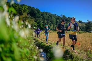 BIB: 
                            <button type="button" onclick="openModal(26573332)" class="btn btn-primary btn-sm float-right btn-popup" data-toggle="modal" data-target=".modal-high-quality">
                        <i class="fas fa-shopping-cart"></i> Add to Cart
                    </button>
                                            <button type="button" onclick="isThisMe(26573332, true)" class="btn btn-success btn-sm float-right btn-popup btn-isme hidden" data-toggle="tooltip" data-placement="bottom" title="นี่คือรูปของคุณใช่ไหม คลิกที่นี่เพื่อเอาเข้าอัลบั้ม">
                        <i class="fas fa-plus"></i> Add to album
                    </button>
                    <button type="button" onclick="isThisMe(26573332, false)" class="btn btn-warning btn-sm float-right btn-popup btn-isnotme hidden">
                        <i class="fas fa-ban"></i> Remove from album
                    </button>