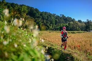 BIB: 
                            <button type="button" onclick="openModal(26571200)" class="btn btn-primary btn-sm float-right btn-popup" data-toggle="modal" data-target=".modal-high-quality">
                        <i class="fas fa-shopping-cart"></i> Add to Cart
                    </button>
                                            <button type="button" onclick="isThisMe(26571200, true)" class="btn btn-success btn-sm float-right btn-popup btn-isme hidden" data-toggle="tooltip" data-placement="bottom" title="นี่คือรูปของคุณใช่ไหม คลิกที่นี่เพื่อเอาเข้าอัลบั้ม">
                        <i class="fas fa-plus"></i> Add to album
                    </button>
                    <button type="button" onclick="isThisMe(26571200, false)" class="btn btn-warning btn-sm float-right btn-popup btn-isnotme hidden">
                        <i class="fas fa-ban"></i> Remove from album
                    </button>