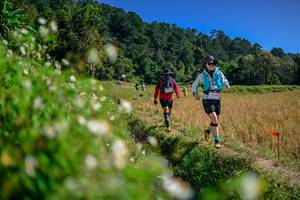 BIB: 
                            <button type="button" onclick="openModal(26582502)" class="btn btn-primary btn-sm float-right btn-popup" data-toggle="modal" data-target=".modal-high-quality">
                        <i class="fas fa-shopping-cart"></i> Add to Cart
                    </button>
                                            <button type="button" onclick="isThisMe(26582502, true)" class="btn btn-success btn-sm float-right btn-popup btn-isme hidden" data-toggle="tooltip" data-placement="bottom" title="นี่คือรูปของคุณใช่ไหม คลิกที่นี่เพื่อเอาเข้าอัลบั้ม">
                        <i class="fas fa-plus"></i> Add to album
                    </button>
                    <button type="button" onclick="isThisMe(26582502, false)" class="btn btn-warning btn-sm float-right btn-popup btn-isnotme hidden">
                        <i class="fas fa-ban"></i> Remove from album
                    </button>