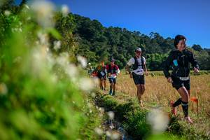 BIB: 
                            <button type="button" onclick="openModal(26574592)" class="btn btn-primary btn-sm float-right btn-popup" data-toggle="modal" data-target=".modal-high-quality">
                        <i class="fas fa-shopping-cart"></i> Add to Cart
                    </button>
                                            <button type="button" onclick="isThisMe(26574592, true)" class="btn btn-success btn-sm float-right btn-popup btn-isme hidden" data-toggle="tooltip" data-placement="bottom" title="นี่คือรูปของคุณใช่ไหม คลิกที่นี่เพื่อเอาเข้าอัลบั้ม">
                        <i class="fas fa-plus"></i> Add to album
                    </button>
                    <button type="button" onclick="isThisMe(26574592, false)" class="btn btn-warning btn-sm float-right btn-popup btn-isnotme hidden">
                        <i class="fas fa-ban"></i> Remove from album
                    </button>