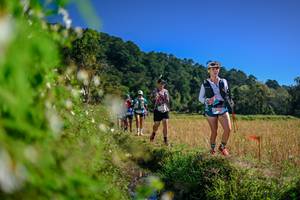 BIB: 
                            <button type="button" onclick="openModal(26580552)" class="btn btn-primary btn-sm float-right btn-popup" data-toggle="modal" data-target=".modal-high-quality">
                        <i class="fas fa-shopping-cart"></i> Add to Cart
                    </button>
                                            <button type="button" onclick="isThisMe(26580552, true)" class="btn btn-success btn-sm float-right btn-popup btn-isme hidden" data-toggle="tooltip" data-placement="bottom" title="นี่คือรูปของคุณใช่ไหม คลิกที่นี่เพื่อเอาเข้าอัลบั้ม">
                        <i class="fas fa-plus"></i> Add to album
                    </button>
                    <button type="button" onclick="isThisMe(26580552, false)" class="btn btn-warning btn-sm float-right btn-popup btn-isnotme hidden">
                        <i class="fas fa-ban"></i> Remove from album
                    </button>