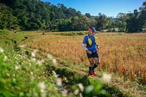 BIB: 
                            <button type="button" onclick="openModal(26571256)" class="btn btn-primary btn-sm float-right btn-popup" data-toggle="modal" data-target=".modal-high-quality">
                        <i class="fas fa-shopping-cart"></i> Add to Cart
                    </button>
                                            <button type="button" onclick="isThisMe(26571256, true)" class="btn btn-success btn-sm float-right btn-popup btn-isme hidden" data-toggle="tooltip" data-placement="bottom" title="นี่คือรูปของคุณใช่ไหม คลิกที่นี่เพื่อเอาเข้าอัลบั้ม">
                        <i class="fas fa-plus"></i> Add to album
                    </button>
                    <button type="button" onclick="isThisMe(26571256, false)" class="btn btn-warning btn-sm float-right btn-popup btn-isnotme hidden">
                        <i class="fas fa-ban"></i> Remove from album
                    </button>