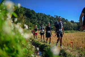 BIB: 
                            <button type="button" onclick="openModal(26574139)" class="btn btn-primary btn-sm float-right btn-popup" data-toggle="modal" data-target=".modal-high-quality">
                        <i class="fas fa-shopping-cart"></i> Add to Cart
                    </button>
                                            <button type="button" onclick="isThisMe(26574139, true)" class="btn btn-success btn-sm float-right btn-popup btn-isme hidden" data-toggle="tooltip" data-placement="bottom" title="นี่คือรูปของคุณใช่ไหม คลิกที่นี่เพื่อเอาเข้าอัลบั้ม">
                        <i class="fas fa-plus"></i> Add to album
                    </button>
                    <button type="button" onclick="isThisMe(26574139, false)" class="btn btn-warning btn-sm float-right btn-popup btn-isnotme hidden">
                        <i class="fas fa-ban"></i> Remove from album
                    </button>