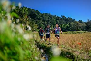 BIB: 
                            <button type="button" onclick="openModal(26574480)" class="btn btn-primary btn-sm float-right btn-popup" data-toggle="modal" data-target=".modal-high-quality">
                        <i class="fas fa-shopping-cart"></i> Add to Cart
                    </button>
                                            <button type="button" onclick="isThisMe(26574480, true)" class="btn btn-success btn-sm float-right btn-popup btn-isme hidden" data-toggle="tooltip" data-placement="bottom" title="นี่คือรูปของคุณใช่ไหม คลิกที่นี่เพื่อเอาเข้าอัลบั้ม">
                        <i class="fas fa-plus"></i> Add to album
                    </button>
                    <button type="button" onclick="isThisMe(26574480, false)" class="btn btn-warning btn-sm float-right btn-popup btn-isnotme hidden">
                        <i class="fas fa-ban"></i> Remove from album
                    </button>