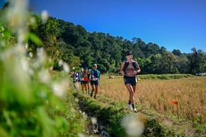 BIB: 
                            <button type="button" onclick="openModal(26572937)" class="btn btn-primary btn-sm float-right btn-popup" data-toggle="modal" data-target=".modal-high-quality">
                        <i class="fas fa-shopping-cart"></i> Add to Cart
                    </button>
                                            <button type="button" onclick="isThisMe(26572937, true)" class="btn btn-success btn-sm float-right btn-popup btn-isme hidden" data-toggle="tooltip" data-placement="bottom" title="นี่คือรูปของคุณใช่ไหม คลิกที่นี่เพื่อเอาเข้าอัลบั้ม">
                        <i class="fas fa-plus"></i> Add to album
                    </button>
                    <button type="button" onclick="isThisMe(26572937, false)" class="btn btn-warning btn-sm float-right btn-popup btn-isnotme hidden">
                        <i class="fas fa-ban"></i> Remove from album
                    </button>