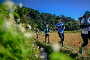 BIB: 
                            <button type="button" onclick="openModal(26574845)" class="btn btn-primary btn-sm float-right btn-popup" data-toggle="modal" data-target=".modal-high-quality">
                        <i class="fas fa-shopping-cart"></i> Add to Cart
                    </button>
                                            <button type="button" onclick="isThisMe(26574845, true)" class="btn btn-success btn-sm float-right btn-popup btn-isme hidden" data-toggle="tooltip" data-placement="bottom" title="นี่คือรูปของคุณใช่ไหม คลิกที่นี่เพื่อเอาเข้าอัลบั้ม">
                        <i class="fas fa-plus"></i> Add to album
                    </button>
                    <button type="button" onclick="isThisMe(26574845, false)" class="btn btn-warning btn-sm float-right btn-popup btn-isnotme hidden">
                        <i class="fas fa-ban"></i> Remove from album
                    </button>