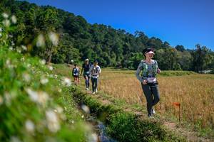 BIB: 
                            <button type="button" onclick="openModal(26582627)" class="btn btn-primary btn-sm float-right btn-popup" data-toggle="modal" data-target=".modal-high-quality">
                        <i class="fas fa-shopping-cart"></i> Add to Cart
                    </button>
                                            <button type="button" onclick="isThisMe(26582627, true)" class="btn btn-success btn-sm float-right btn-popup btn-isme hidden" data-toggle="tooltip" data-placement="bottom" title="นี่คือรูปของคุณใช่ไหม คลิกที่นี่เพื่อเอาเข้าอัลบั้ม">
                        <i class="fas fa-plus"></i> Add to album
                    </button>
                    <button type="button" onclick="isThisMe(26582627, false)" class="btn btn-warning btn-sm float-right btn-popup btn-isnotme hidden">
                        <i class="fas fa-ban"></i> Remove from album
                    </button>