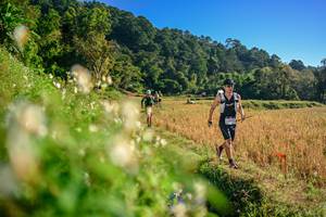 BIB: 
                            <button type="button" onclick="openModal(26570723)" class="btn btn-primary btn-sm float-right btn-popup" data-toggle="modal" data-target=".modal-high-quality">
                        <i class="fas fa-shopping-cart"></i> Add to Cart
                    </button>
                                            <button type="button" onclick="isThisMe(26570723, true)" class="btn btn-success btn-sm float-right btn-popup btn-isme hidden" data-toggle="tooltip" data-placement="bottom" title="นี่คือรูปของคุณใช่ไหม คลิกที่นี่เพื่อเอาเข้าอัลบั้ม">
                        <i class="fas fa-plus"></i> Add to album
                    </button>
                    <button type="button" onclick="isThisMe(26570723, false)" class="btn btn-warning btn-sm float-right btn-popup btn-isnotme hidden">
                        <i class="fas fa-ban"></i> Remove from album
                    </button>