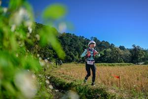 BIB: 
                            <button type="button" onclick="openModal(26579913)" class="btn btn-primary btn-sm float-right btn-popup" data-toggle="modal" data-target=".modal-high-quality">
                        <i class="fas fa-shopping-cart"></i> Add to Cart
                    </button>
                                            <button type="button" onclick="isThisMe(26579913, true)" class="btn btn-success btn-sm float-right btn-popup btn-isme hidden" data-toggle="tooltip" data-placement="bottom" title="นี่คือรูปของคุณใช่ไหม คลิกที่นี่เพื่อเอาเข้าอัลบั้ม">
                        <i class="fas fa-plus"></i> Add to album
                    </button>
                    <button type="button" onclick="isThisMe(26579913, false)" class="btn btn-warning btn-sm float-right btn-popup btn-isnotme hidden">
                        <i class="fas fa-ban"></i> Remove from album
                    </button>