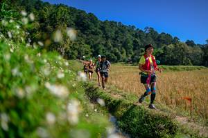 BIB: 
                            <button type="button" onclick="openModal(26583071)" class="btn btn-primary btn-sm float-right btn-popup" data-toggle="modal" data-target=".modal-high-quality">
                        <i class="fas fa-shopping-cart"></i> Add to Cart
                    </button>
                                            <button type="button" onclick="isThisMe(26583071, true)" class="btn btn-success btn-sm float-right btn-popup btn-isme hidden" data-toggle="tooltip" data-placement="bottom" title="นี่คือรูปของคุณใช่ไหม คลิกที่นี่เพื่อเอาเข้าอัลบั้ม">
                        <i class="fas fa-plus"></i> Add to album
                    </button>
                    <button type="button" onclick="isThisMe(26583071, false)" class="btn btn-warning btn-sm float-right btn-popup btn-isnotme hidden">
                        <i class="fas fa-ban"></i> Remove from album
                    </button>