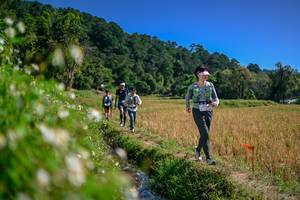 BIB: 
                            <button type="button" onclick="openModal(26582622)" class="btn btn-primary btn-sm float-right btn-popup" data-toggle="modal" data-target=".modal-high-quality">
                        <i class="fas fa-shopping-cart"></i> Add to Cart
                    </button>
                                            <button type="button" onclick="isThisMe(26582622, true)" class="btn btn-success btn-sm float-right btn-popup btn-isme hidden" data-toggle="tooltip" data-placement="bottom" title="นี่คือรูปของคุณใช่ไหม คลิกที่นี่เพื่อเอาเข้าอัลบั้ม">
                        <i class="fas fa-plus"></i> Add to album
                    </button>
                    <button type="button" onclick="isThisMe(26582622, false)" class="btn btn-warning btn-sm float-right btn-popup btn-isnotme hidden">
                        <i class="fas fa-ban"></i> Remove from album
                    </button>