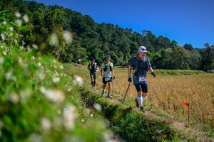 BIB: 
                            <button type="button" onclick="openModal(26582678)" class="btn btn-primary btn-sm float-right btn-popup" data-toggle="modal" data-target=".modal-high-quality">
                        <i class="fas fa-shopping-cart"></i> Add to Cart
                    </button>
                                            <button type="button" onclick="isThisMe(26582678, true)" class="btn btn-success btn-sm float-right btn-popup btn-isme hidden" data-toggle="tooltip" data-placement="bottom" title="นี่คือรูปของคุณใช่ไหม คลิกที่นี่เพื่อเอาเข้าอัลบั้ม">
                        <i class="fas fa-plus"></i> Add to album
                    </button>
                    <button type="button" onclick="isThisMe(26582678, false)" class="btn btn-warning btn-sm float-right btn-popup btn-isnotme hidden">
                        <i class="fas fa-ban"></i> Remove from album
                    </button>