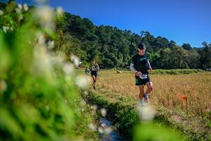 BIB: 
                            <button type="button" onclick="openModal(26574409)" class="btn btn-primary btn-sm float-right btn-popup" data-toggle="modal" data-target=".modal-high-quality">
                        <i class="fas fa-shopping-cart"></i> Add to Cart
                    </button>
                                            <button type="button" onclick="isThisMe(26574409, true)" class="btn btn-success btn-sm float-right btn-popup btn-isme hidden" data-toggle="tooltip" data-placement="bottom" title="นี่คือรูปของคุณใช่ไหม คลิกที่นี่เพื่อเอาเข้าอัลบั้ม">
                        <i class="fas fa-plus"></i> Add to album
                    </button>
                    <button type="button" onclick="isThisMe(26574409, false)" class="btn btn-warning btn-sm float-right btn-popup btn-isnotme hidden">
                        <i class="fas fa-ban"></i> Remove from album
                    </button>