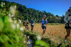 BIB: 
                            <button type="button" onclick="openModal(26575510)" class="btn btn-primary btn-sm float-right btn-popup" data-toggle="modal" data-target=".modal-high-quality">
                        <i class="fas fa-shopping-cart"></i> Add to Cart
                    </button>
                                            <button type="button" onclick="isThisMe(26575510, true)" class="btn btn-success btn-sm float-right btn-popup btn-isme hidden" data-toggle="tooltip" data-placement="bottom" title="นี่คือรูปของคุณใช่ไหม คลิกที่นี่เพื่อเอาเข้าอัลบั้ม">
                        <i class="fas fa-plus"></i> Add to album
                    </button>
                    <button type="button" onclick="isThisMe(26575510, false)" class="btn btn-warning btn-sm float-right btn-popup btn-isnotme hidden">
                        <i class="fas fa-ban"></i> Remove from album
                    </button>