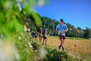 BIB: 
                            <button type="button" onclick="openModal(26581185)" class="btn btn-primary btn-sm float-right btn-popup" data-toggle="modal" data-target=".modal-high-quality">
                        <i class="fas fa-shopping-cart"></i> Add to Cart
                    </button>
                                            <button type="button" onclick="isThisMe(26581185, true)" class="btn btn-success btn-sm float-right btn-popup btn-isme hidden" data-toggle="tooltip" data-placement="bottom" title="นี่คือรูปของคุณใช่ไหม คลิกที่นี่เพื่อเอาเข้าอัลบั้ม">
                        <i class="fas fa-plus"></i> Add to album
                    </button>
                    <button type="button" onclick="isThisMe(26581185, false)" class="btn btn-warning btn-sm float-right btn-popup btn-isnotme hidden">
                        <i class="fas fa-ban"></i> Remove from album
                    </button>