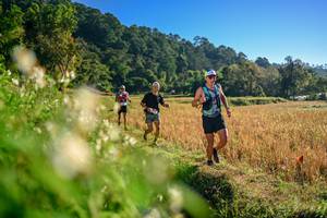 BIB: 
                            <button type="button" onclick="openModal(26570412)" class="btn btn-primary btn-sm float-right btn-popup" data-toggle="modal" data-target=".modal-high-quality">
                        <i class="fas fa-shopping-cart"></i> Add to Cart
                    </button>
                                            <button type="button" onclick="isThisMe(26570412, true)" class="btn btn-success btn-sm float-right btn-popup btn-isme hidden" data-toggle="tooltip" data-placement="bottom" title="นี่คือรูปของคุณใช่ไหม คลิกที่นี่เพื่อเอาเข้าอัลบั้ม">
                        <i class="fas fa-plus"></i> Add to album
                    </button>
                    <button type="button" onclick="isThisMe(26570412, false)" class="btn btn-warning btn-sm float-right btn-popup btn-isnotme hidden">
                        <i class="fas fa-ban"></i> Remove from album
                    </button>