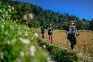 BIB: 
                            <button type="button" onclick="openModal(26583038)" class="btn btn-primary btn-sm float-right btn-popup" data-toggle="modal" data-target=".modal-high-quality">
                        <i class="fas fa-shopping-cart"></i> Add to Cart
                    </button>
                                            <button type="button" onclick="isThisMe(26583038, true)" class="btn btn-success btn-sm float-right btn-popup btn-isme hidden" data-toggle="tooltip" data-placement="bottom" title="นี่คือรูปของคุณใช่ไหม คลิกที่นี่เพื่อเอาเข้าอัลบั้ม">
                        <i class="fas fa-plus"></i> Add to album
                    </button>
                    <button type="button" onclick="isThisMe(26583038, false)" class="btn btn-warning btn-sm float-right btn-popup btn-isnotme hidden">
                        <i class="fas fa-ban"></i> Remove from album
                    </button>