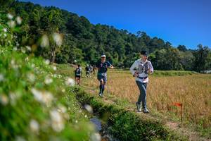 BIB: 
                            <button type="button" onclick="openModal(26582633)" class="btn btn-primary btn-sm float-right btn-popup" data-toggle="modal" data-target=".modal-high-quality">
                        <i class="fas fa-shopping-cart"></i> Add to Cart
                    </button>
                                            <button type="button" onclick="isThisMe(26582633, true)" class="btn btn-success btn-sm float-right btn-popup btn-isme hidden" data-toggle="tooltip" data-placement="bottom" title="นี่คือรูปของคุณใช่ไหม คลิกที่นี่เพื่อเอาเข้าอัลบั้ม">
                        <i class="fas fa-plus"></i> Add to album
                    </button>
                    <button type="button" onclick="isThisMe(26582633, false)" class="btn btn-warning btn-sm float-right btn-popup btn-isnotme hidden">
                        <i class="fas fa-ban"></i> Remove from album
                    </button>