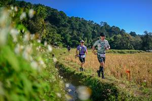 BIB: 
                            <button type="button" onclick="openModal(26571583)" class="btn btn-primary btn-sm float-right btn-popup" data-toggle="modal" data-target=".modal-high-quality">
                        <i class="fas fa-shopping-cart"></i> Add to Cart
                    </button>
                                            <button type="button" onclick="isThisMe(26571583, true)" class="btn btn-success btn-sm float-right btn-popup btn-isme hidden" data-toggle="tooltip" data-placement="bottom" title="นี่คือรูปของคุณใช่ไหม คลิกที่นี่เพื่อเอาเข้าอัลบั้ม">
                        <i class="fas fa-plus"></i> Add to album
                    </button>
                    <button type="button" onclick="isThisMe(26571583, false)" class="btn btn-warning btn-sm float-right btn-popup btn-isnotme hidden">
                        <i class="fas fa-ban"></i> Remove from album
                    </button>