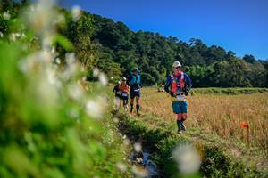 BIB: 
                            <button type="button" onclick="openModal(26572826)" class="btn btn-primary btn-sm float-right btn-popup" data-toggle="modal" data-target=".modal-high-quality">
                        <i class="fas fa-shopping-cart"></i> Add to Cart
                    </button>
                                            <button type="button" onclick="isThisMe(26572826, true)" class="btn btn-success btn-sm float-right btn-popup btn-isme hidden" data-toggle="tooltip" data-placement="bottom" title="นี่คือรูปของคุณใช่ไหม คลิกที่นี่เพื่อเอาเข้าอัลบั้ม">
                        <i class="fas fa-plus"></i> Add to album
                    </button>
                    <button type="button" onclick="isThisMe(26572826, false)" class="btn btn-warning btn-sm float-right btn-popup btn-isnotme hidden">
                        <i class="fas fa-ban"></i> Remove from album
                    </button>