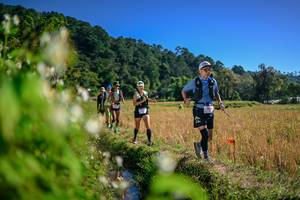 BIB: 
                            <button type="button" onclick="openModal(26575539)" class="btn btn-primary btn-sm float-right btn-popup" data-toggle="modal" data-target=".modal-high-quality">
                        <i class="fas fa-shopping-cart"></i> Add to Cart
                    </button>
                                            <button type="button" onclick="isThisMe(26575539, true)" class="btn btn-success btn-sm float-right btn-popup btn-isme hidden" data-toggle="tooltip" data-placement="bottom" title="นี่คือรูปของคุณใช่ไหม คลิกที่นี่เพื่อเอาเข้าอัลบั้ม">
                        <i class="fas fa-plus"></i> Add to album
                    </button>
                    <button type="button" onclick="isThisMe(26575539, false)" class="btn btn-warning btn-sm float-right btn-popup btn-isnotme hidden">
                        <i class="fas fa-ban"></i> Remove from album
                    </button>