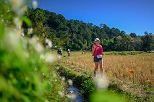 BIB: 
                            <button type="button" onclick="openModal(26574888)" class="btn btn-primary btn-sm float-right btn-popup" data-toggle="modal" data-target=".modal-high-quality">
                        <i class="fas fa-shopping-cart"></i> Add to Cart
                    </button>
                                            <button type="button" onclick="isThisMe(26574888, true)" class="btn btn-success btn-sm float-right btn-popup btn-isme hidden" data-toggle="tooltip" data-placement="bottom" title="นี่คือรูปของคุณใช่ไหม คลิกที่นี่เพื่อเอาเข้าอัลบั้ม">
                        <i class="fas fa-plus"></i> Add to album
                    </button>
                    <button type="button" onclick="isThisMe(26574888, false)" class="btn btn-warning btn-sm float-right btn-popup btn-isnotme hidden">
                        <i class="fas fa-ban"></i> Remove from album
                    </button>