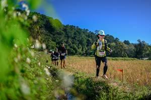 BIB: 
                            <button type="button" onclick="openModal(26580170)" class="btn btn-primary btn-sm float-right btn-popup" data-toggle="modal" data-target=".modal-high-quality">
                        <i class="fas fa-shopping-cart"></i> Add to Cart
                    </button>
                                            <button type="button" onclick="isThisMe(26580170, true)" class="btn btn-success btn-sm float-right btn-popup btn-isme hidden" data-toggle="tooltip" data-placement="bottom" title="นี่คือรูปของคุณใช่ไหม คลิกที่นี่เพื่อเอาเข้าอัลบั้ม">
                        <i class="fas fa-plus"></i> Add to album
                    </button>
                    <button type="button" onclick="isThisMe(26580170, false)" class="btn btn-warning btn-sm float-right btn-popup btn-isnotme hidden">
                        <i class="fas fa-ban"></i> Remove from album
                    </button>