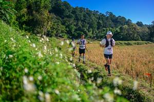 BIB: 
                            <button type="button" onclick="openModal(26571301)" class="btn btn-primary btn-sm float-right btn-popup" data-toggle="modal" data-target=".modal-high-quality">
                        <i class="fas fa-shopping-cart"></i> Add to Cart
                    </button>
                                            <button type="button" onclick="isThisMe(26571301, true)" class="btn btn-success btn-sm float-right btn-popup btn-isme hidden" data-toggle="tooltip" data-placement="bottom" title="นี่คือรูปของคุณใช่ไหม คลิกที่นี่เพื่อเอาเข้าอัลบั้ม">
                        <i class="fas fa-plus"></i> Add to album
                    </button>
                    <button type="button" onclick="isThisMe(26571301, false)" class="btn btn-warning btn-sm float-right btn-popup btn-isnotme hidden">
                        <i class="fas fa-ban"></i> Remove from album
                    </button>