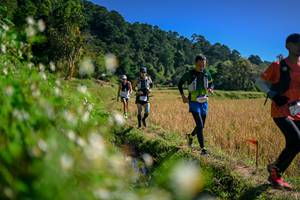 BIB: 
                            <button type="button" onclick="openModal(26576342)" class="btn btn-primary btn-sm float-right btn-popup" data-toggle="modal" data-target=".modal-high-quality">
                        <i class="fas fa-shopping-cart"></i> Add to Cart
                    </button>
                                            <button type="button" onclick="isThisMe(26576342, true)" class="btn btn-success btn-sm float-right btn-popup btn-isme hidden" data-toggle="tooltip" data-placement="bottom" title="นี่คือรูปของคุณใช่ไหม คลิกที่นี่เพื่อเอาเข้าอัลบั้ม">
                        <i class="fas fa-plus"></i> Add to album
                    </button>
                    <button type="button" onclick="isThisMe(26576342, false)" class="btn btn-warning btn-sm float-right btn-popup btn-isnotme hidden">
                        <i class="fas fa-ban"></i> Remove from album
                    </button>