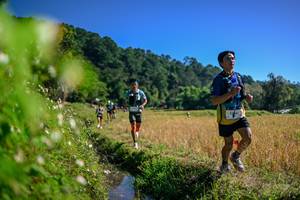 BIB: 
                            <button type="button" onclick="openModal(26580913)" class="btn btn-primary btn-sm float-right btn-popup" data-toggle="modal" data-target=".modal-high-quality">
                        <i class="fas fa-shopping-cart"></i> Add to Cart
                    </button>
                                            <button type="button" onclick="isThisMe(26580913, true)" class="btn btn-success btn-sm float-right btn-popup btn-isme hidden" data-toggle="tooltip" data-placement="bottom" title="นี่คือรูปของคุณใช่ไหม คลิกที่นี่เพื่อเอาเข้าอัลบั้ม">
                        <i class="fas fa-plus"></i> Add to album
                    </button>
                    <button type="button" onclick="isThisMe(26580913, false)" class="btn btn-warning btn-sm float-right btn-popup btn-isnotme hidden">
                        <i class="fas fa-ban"></i> Remove from album
                    </button>