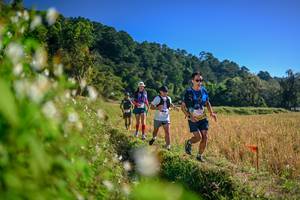 BIB: 
                            <button type="button" onclick="openModal(26571758)" class="btn btn-primary btn-sm float-right btn-popup" data-toggle="modal" data-target=".modal-high-quality">
                        <i class="fas fa-shopping-cart"></i> Add to Cart
                    </button>
                                            <button type="button" onclick="isThisMe(26571758, true)" class="btn btn-success btn-sm float-right btn-popup btn-isme hidden" data-toggle="tooltip" data-placement="bottom" title="นี่คือรูปของคุณใช่ไหม คลิกที่นี่เพื่อเอาเข้าอัลบั้ม">
                        <i class="fas fa-plus"></i> Add to album
                    </button>
                    <button type="button" onclick="isThisMe(26571758, false)" class="btn btn-warning btn-sm float-right btn-popup btn-isnotme hidden">
                        <i class="fas fa-ban"></i> Remove from album
                    </button>