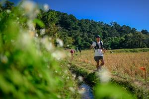 BIB: 
                            <button type="button" onclick="openModal(26574869)" class="btn btn-primary btn-sm float-right btn-popup" data-toggle="modal" data-target=".modal-high-quality">
                        <i class="fas fa-shopping-cart"></i> Add to Cart
                    </button>
                                            <button type="button" onclick="isThisMe(26574869, true)" class="btn btn-success btn-sm float-right btn-popup btn-isme hidden" data-toggle="tooltip" data-placement="bottom" title="นี่คือรูปของคุณใช่ไหม คลิกที่นี่เพื่อเอาเข้าอัลบั้ม">
                        <i class="fas fa-plus"></i> Add to album
                    </button>
                    <button type="button" onclick="isThisMe(26574869, false)" class="btn btn-warning btn-sm float-right btn-popup btn-isnotme hidden">
                        <i class="fas fa-ban"></i> Remove from album
                    </button>