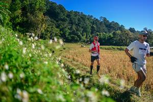 BIB: 
                            <button type="button" onclick="openModal(26571380)" class="btn btn-primary btn-sm float-right btn-popup" data-toggle="modal" data-target=".modal-high-quality">
                        <i class="fas fa-shopping-cart"></i> Add to Cart
                    </button>
                                            <button type="button" onclick="isThisMe(26571380, true)" class="btn btn-success btn-sm float-right btn-popup btn-isme hidden" data-toggle="tooltip" data-placement="bottom" title="นี่คือรูปของคุณใช่ไหม คลิกที่นี่เพื่อเอาเข้าอัลบั้ม">
                        <i class="fas fa-plus"></i> Add to album
                    </button>
                    <button type="button" onclick="isThisMe(26571380, false)" class="btn btn-warning btn-sm float-right btn-popup btn-isnotme hidden">
                        <i class="fas fa-ban"></i> Remove from album
                    </button>