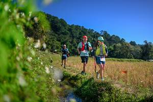 BIB: 
                            <button type="button" onclick="openModal(26580248)" class="btn btn-primary btn-sm float-right btn-popup" data-toggle="modal" data-target=".modal-high-quality">
                        <i class="fas fa-shopping-cart"></i> Add to Cart
                    </button>
                                            <button type="button" onclick="isThisMe(26580248, true)" class="btn btn-success btn-sm float-right btn-popup btn-isme hidden" data-toggle="tooltip" data-placement="bottom" title="นี่คือรูปของคุณใช่ไหม คลิกที่นี่เพื่อเอาเข้าอัลบั้ม">
                        <i class="fas fa-plus"></i> Add to album
                    </button>
                    <button type="button" onclick="isThisMe(26580248, false)" class="btn btn-warning btn-sm float-right btn-popup btn-isnotme hidden">
                        <i class="fas fa-ban"></i> Remove from album
                    </button>