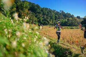 BIB: 
                            <button type="button" onclick="openModal(26570933)" class="btn btn-primary btn-sm float-right btn-popup" data-toggle="modal" data-target=".modal-high-quality">
                        <i class="fas fa-shopping-cart"></i> Add to Cart
                    </button>
                                            <button type="button" onclick="isThisMe(26570933, true)" class="btn btn-success btn-sm float-right btn-popup btn-isme hidden" data-toggle="tooltip" data-placement="bottom" title="นี่คือรูปของคุณใช่ไหม คลิกที่นี่เพื่อเอาเข้าอัลบั้ม">
                        <i class="fas fa-plus"></i> Add to album
                    </button>
                    <button type="button" onclick="isThisMe(26570933, false)" class="btn btn-warning btn-sm float-right btn-popup btn-isnotme hidden">
                        <i class="fas fa-ban"></i> Remove from album
                    </button>