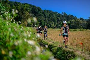 BIB: 
                            <button type="button" onclick="openModal(26582092)" class="btn btn-primary btn-sm float-right btn-popup" data-toggle="modal" data-target=".modal-high-quality">
                        <i class="fas fa-shopping-cart"></i> Add to Cart
                    </button>
                                            <button type="button" onclick="isThisMe(26582092, true)" class="btn btn-success btn-sm float-right btn-popup btn-isme hidden" data-toggle="tooltip" data-placement="bottom" title="นี่คือรูปของคุณใช่ไหม คลิกที่นี่เพื่อเอาเข้าอัลบั้ม">
                        <i class="fas fa-plus"></i> Add to album
                    </button>
                    <button type="button" onclick="isThisMe(26582092, false)" class="btn btn-warning btn-sm float-right btn-popup btn-isnotme hidden">
                        <i class="fas fa-ban"></i> Remove from album
                    </button>