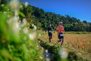 BIB: 
                            <button type="button" onclick="openModal(26572845)" class="btn btn-primary btn-sm float-right btn-popup" data-toggle="modal" data-target=".modal-high-quality">
                        <i class="fas fa-shopping-cart"></i> Add to Cart
                    </button>
                                            <button type="button" onclick="isThisMe(26572845, true)" class="btn btn-success btn-sm float-right btn-popup btn-isme hidden" data-toggle="tooltip" data-placement="bottom" title="นี่คือรูปของคุณใช่ไหม คลิกที่นี่เพื่อเอาเข้าอัลบั้ม">
                        <i class="fas fa-plus"></i> Add to album
                    </button>
                    <button type="button" onclick="isThisMe(26572845, false)" class="btn btn-warning btn-sm float-right btn-popup btn-isnotme hidden">
                        <i class="fas fa-ban"></i> Remove from album
                    </button>