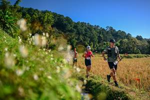 BIB: 
                            <button type="button" onclick="openModal(26571120)" class="btn btn-primary btn-sm float-right btn-popup" data-toggle="modal" data-target=".modal-high-quality">
                        <i class="fas fa-shopping-cart"></i> Add to Cart
                    </button>
                                            <button type="button" onclick="isThisMe(26571120, true)" class="btn btn-success btn-sm float-right btn-popup btn-isme hidden" data-toggle="tooltip" data-placement="bottom" title="นี่คือรูปของคุณใช่ไหม คลิกที่นี่เพื่อเอาเข้าอัลบั้ม">
                        <i class="fas fa-plus"></i> Add to album
                    </button>
                    <button type="button" onclick="isThisMe(26571120, false)" class="btn btn-warning btn-sm float-right btn-popup btn-isnotme hidden">
                        <i class="fas fa-ban"></i> Remove from album
                    </button>